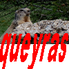 queyras