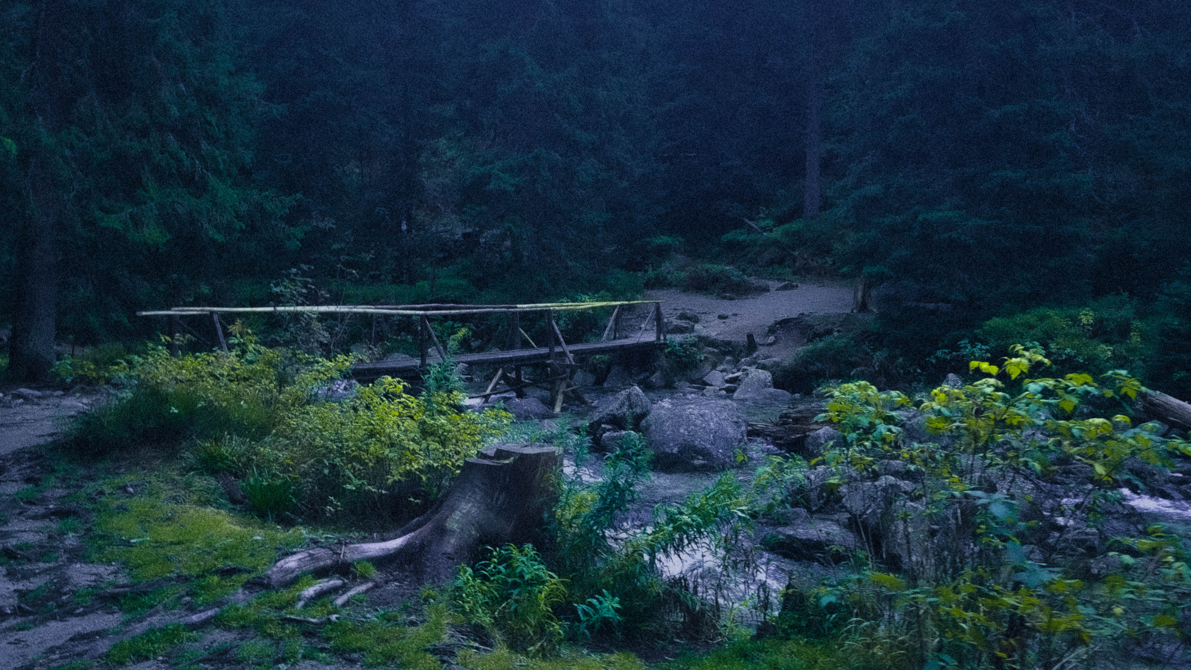 20241003_115949-Modifier