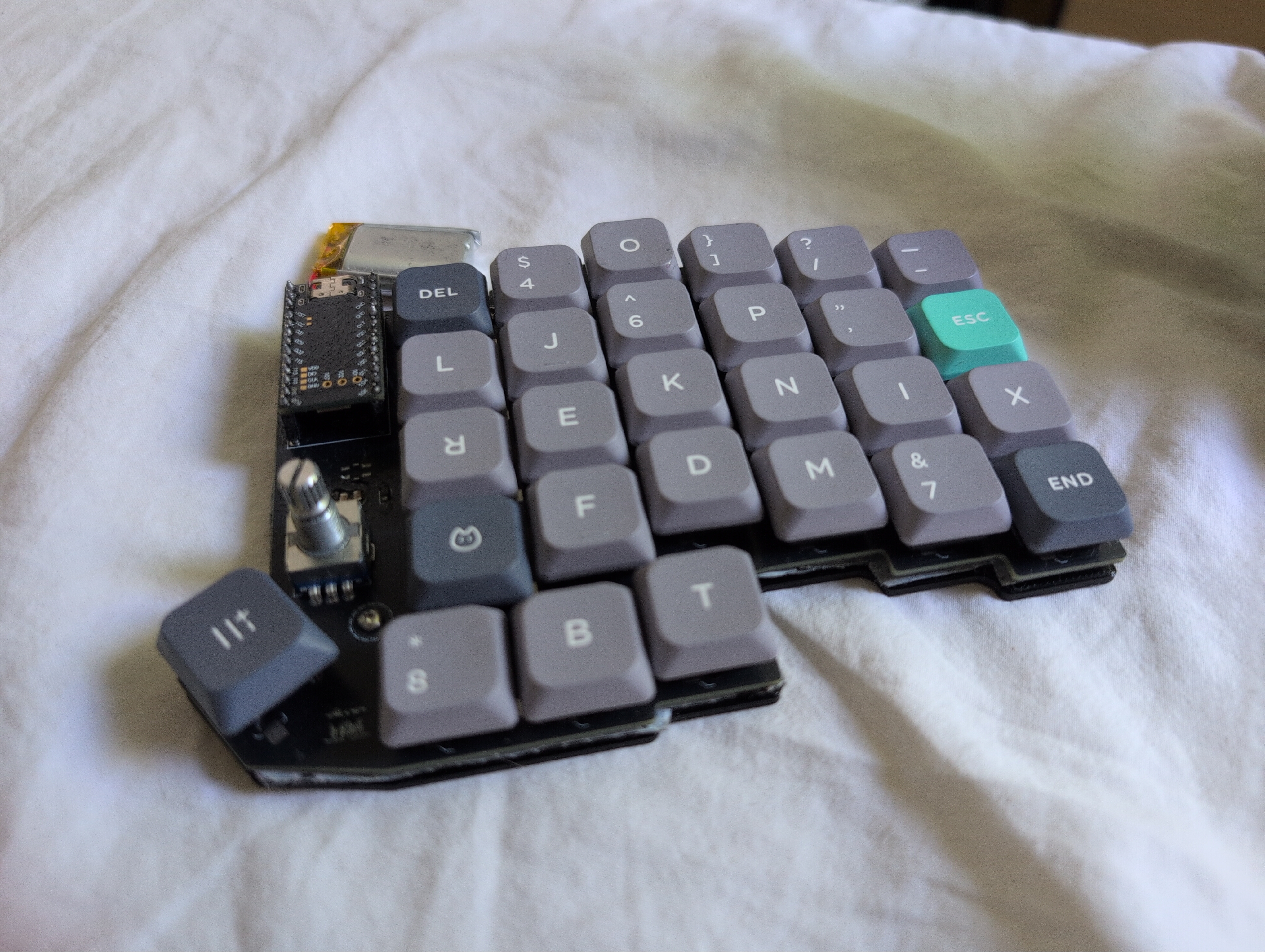10778.jpg